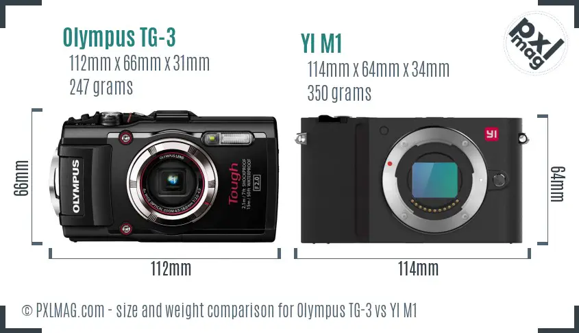 Olympus TG-3 vs YI M1 size comparison