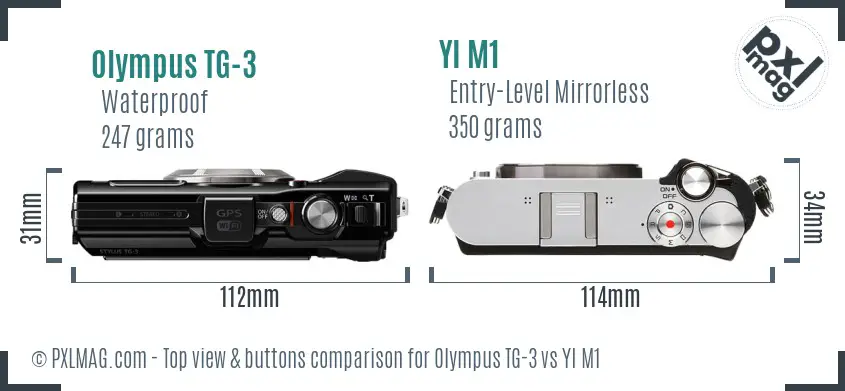 Olympus TG-3 vs YI M1 top view buttons comparison