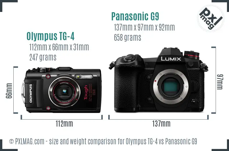 Olympus TG-4 vs Panasonic G9 size comparison