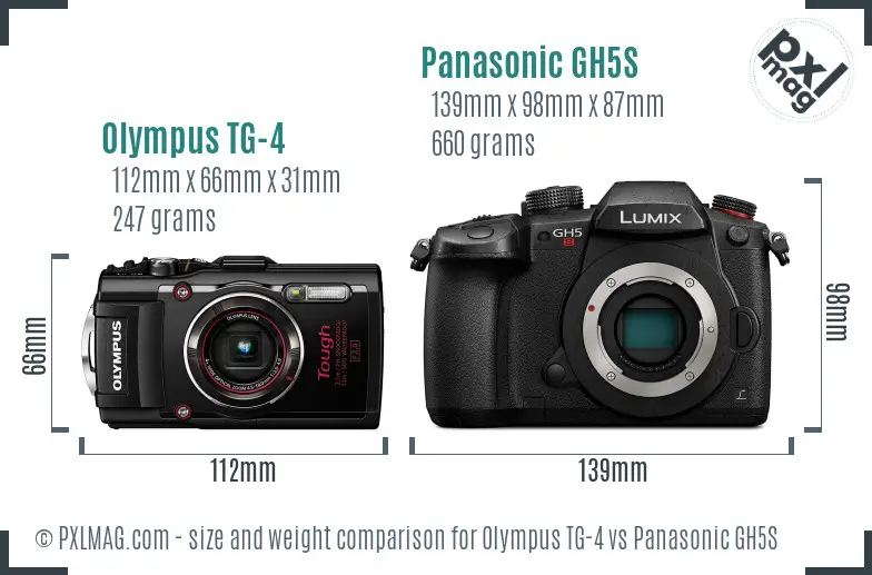 Olympus TG-4 vs Panasonic GH5S size comparison