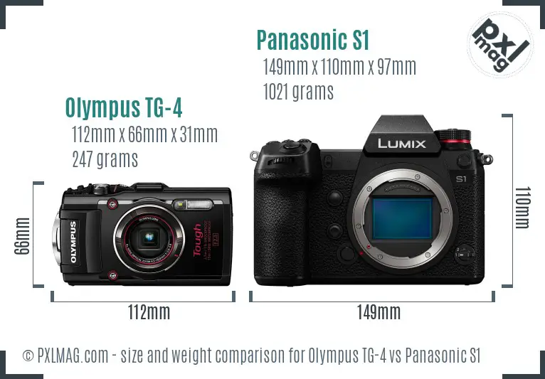 Olympus TG-4 vs Panasonic S1 size comparison