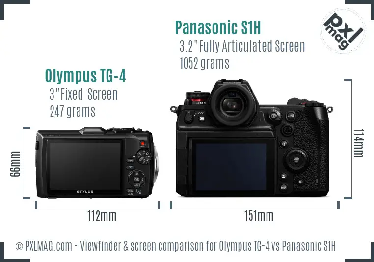 Olympus TG-4 vs Panasonic S1H Screen and Viewfinder comparison