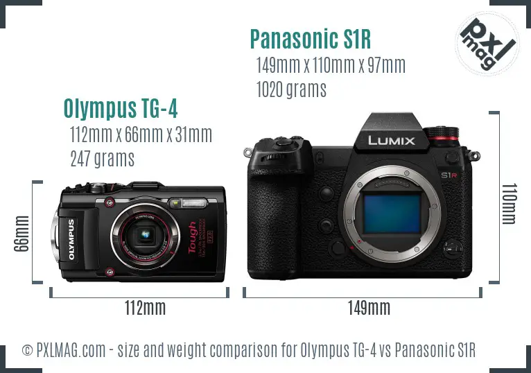 Olympus TG-4 vs Panasonic S1R size comparison