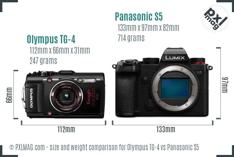 Olympus TG-4 vs Panasonic S5 size comparison