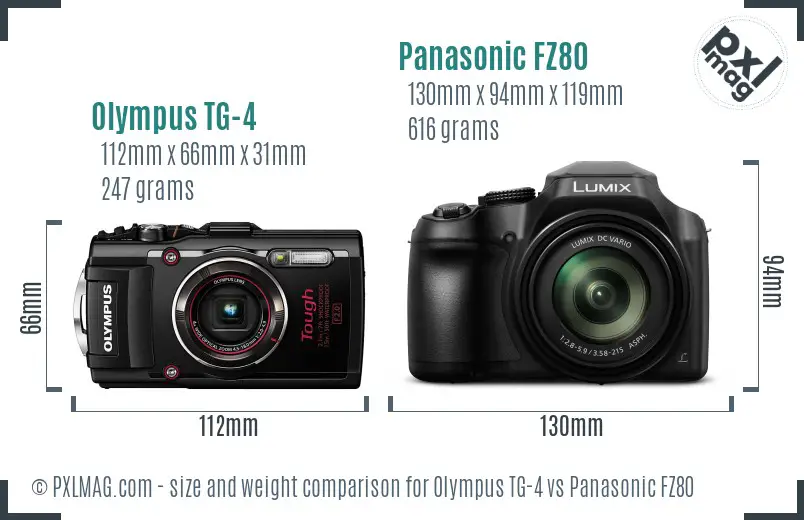 Olympus TG-4 vs Panasonic FZ80 size comparison