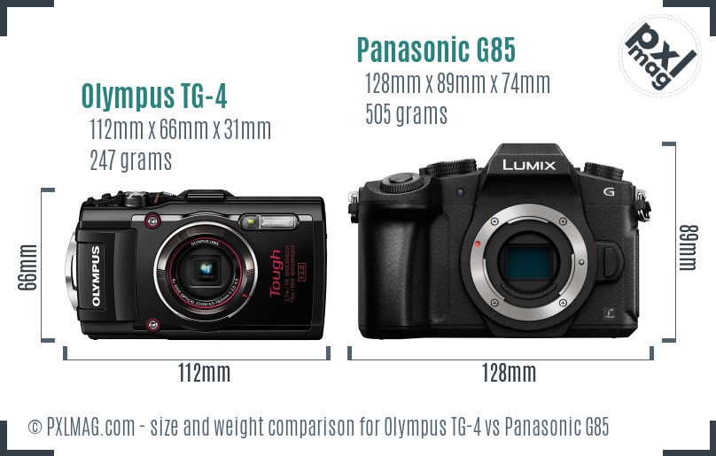 Olympus TG-4 vs Panasonic G85 size comparison
