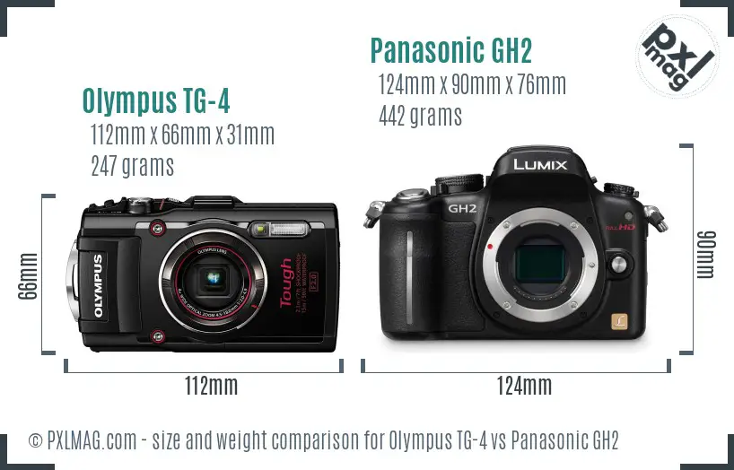 Olympus TG-4 vs Panasonic GH2 size comparison