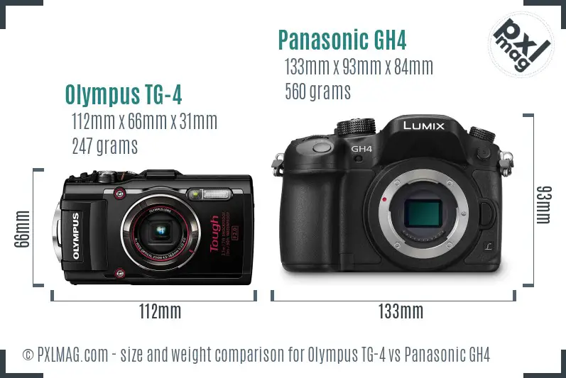 Olympus TG-4 vs Panasonic GH4 size comparison