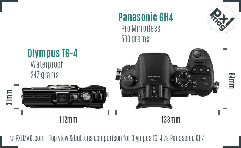 Olympus TG-4 vs Panasonic GH4 top view buttons comparison