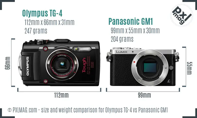 Olympus TG-4 vs Panasonic GM1 size comparison