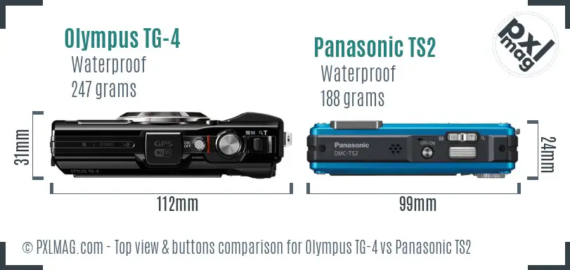 Olympus TG-4 vs Panasonic TS2 top view buttons comparison