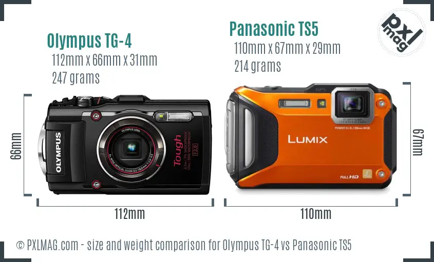 Olympus TG-4 vs Panasonic TS5 size comparison