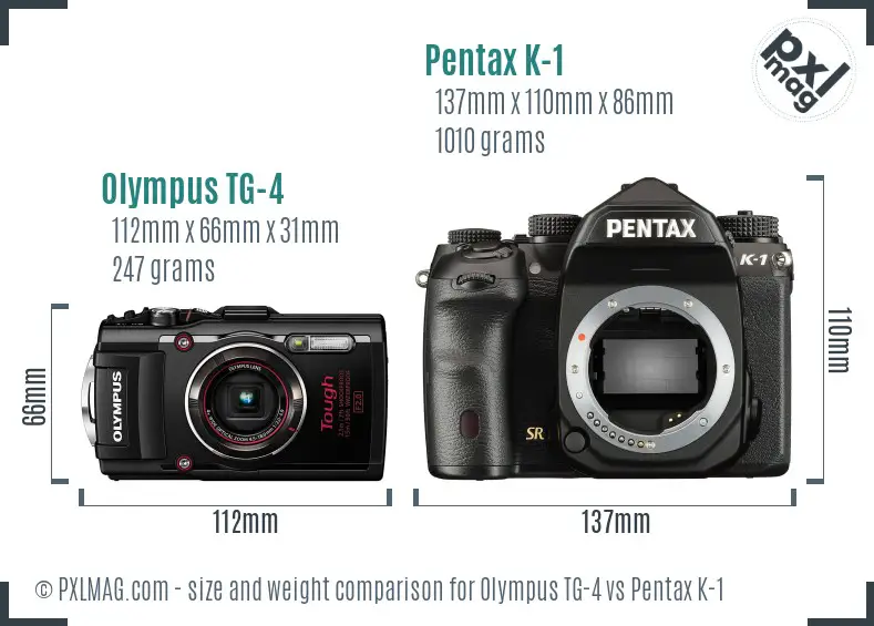 Olympus TG-4 vs Pentax K-1 size comparison