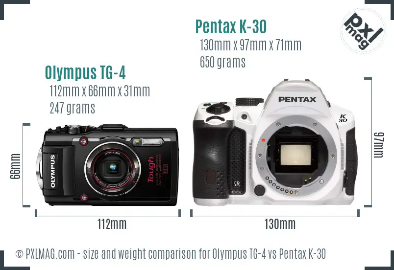 Olympus TG-4 vs Pentax K-30 size comparison