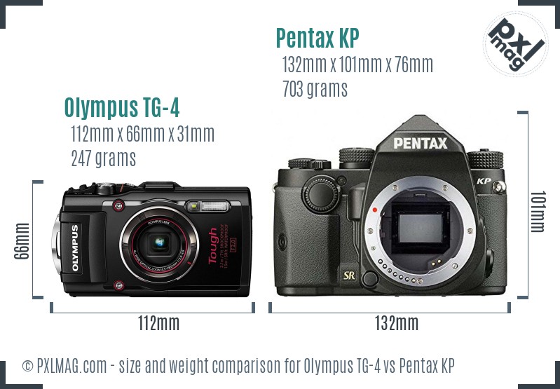 Olympus TG-4 vs Pentax KP size comparison