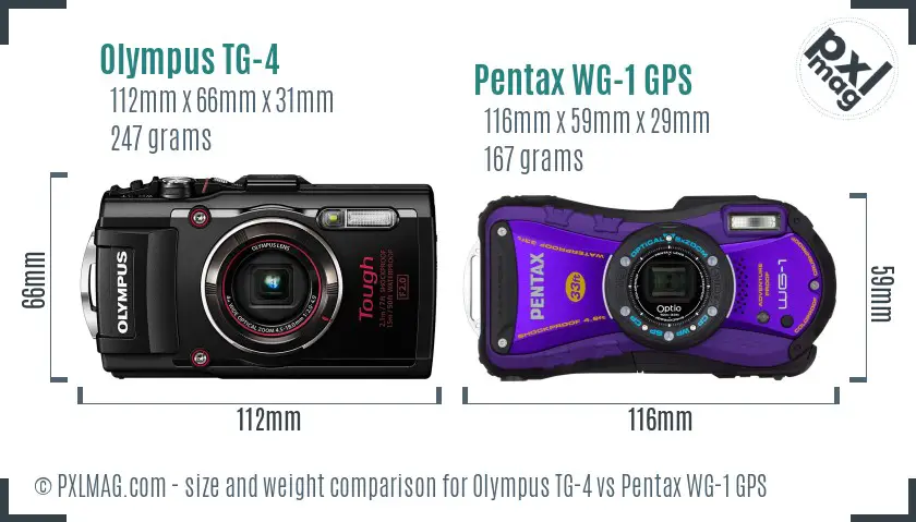 Olympus TG-4 vs Pentax WG-1 GPS size comparison