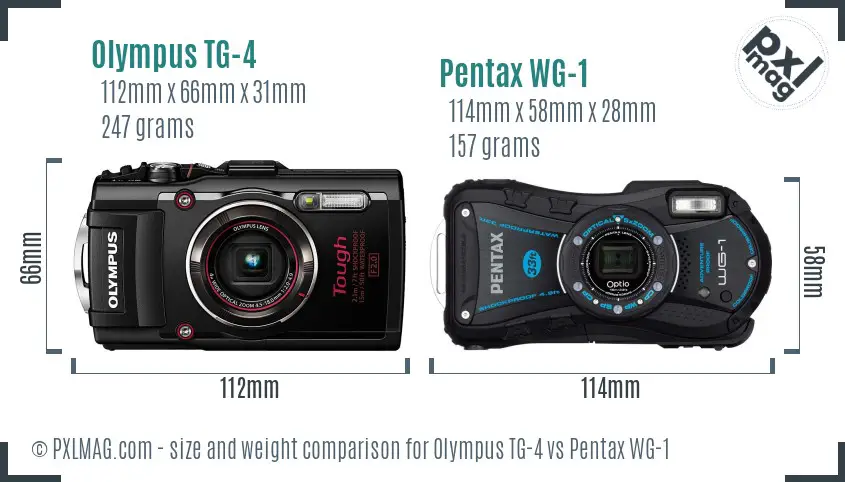 Olympus TG-4 vs Pentax WG-1 size comparison
