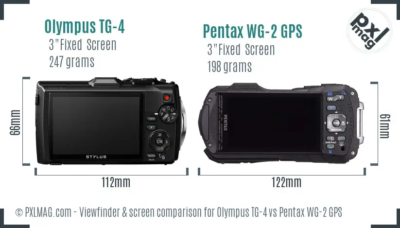 Olympus TG-4 vs Pentax WG-2 GPS Screen and Viewfinder comparison