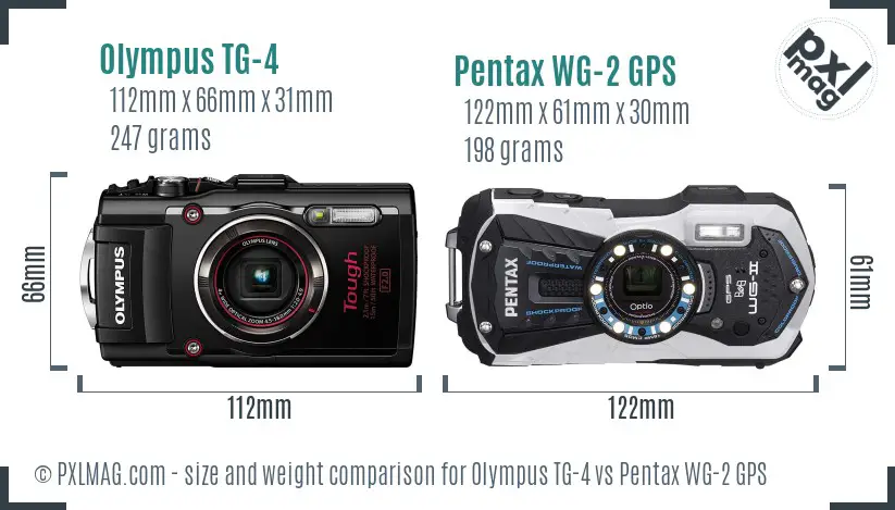 Olympus TG-4 vs Pentax WG-2 GPS size comparison