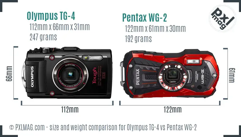 Olympus TG-4 vs Pentax WG-2 size comparison