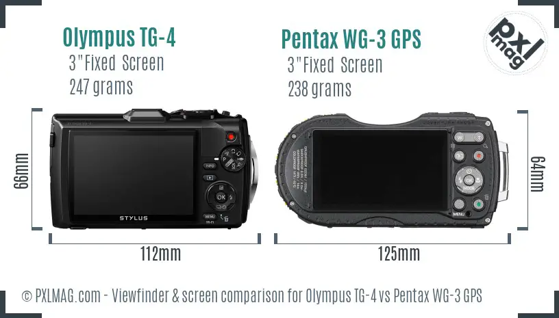 Olympus TG-4 vs Pentax WG-3 GPS Screen and Viewfinder comparison