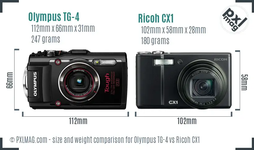 Olympus TG-4 vs Ricoh CX1 size comparison Olympus TG-4 vs Ricoh CX1 size comparison