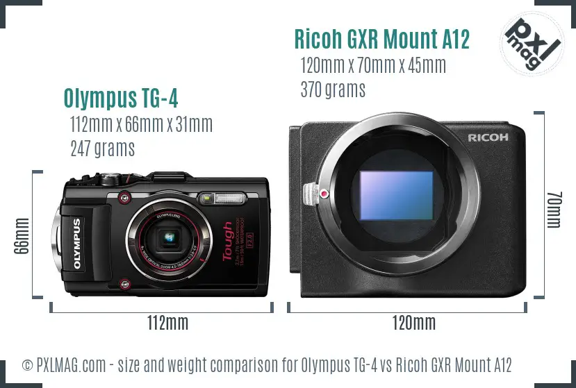 Olympus TG-4 vs Ricoh GXR Mount A12 size comparison
