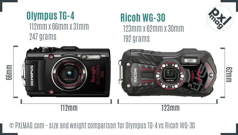 Olympus TG-4 vs Ricoh WG-30 size comparison