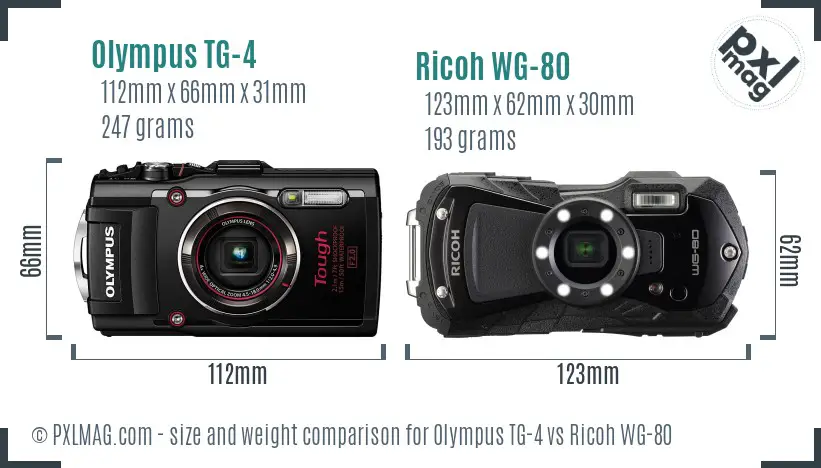 Olympus TG-4 vs Ricoh WG-80 size comparison