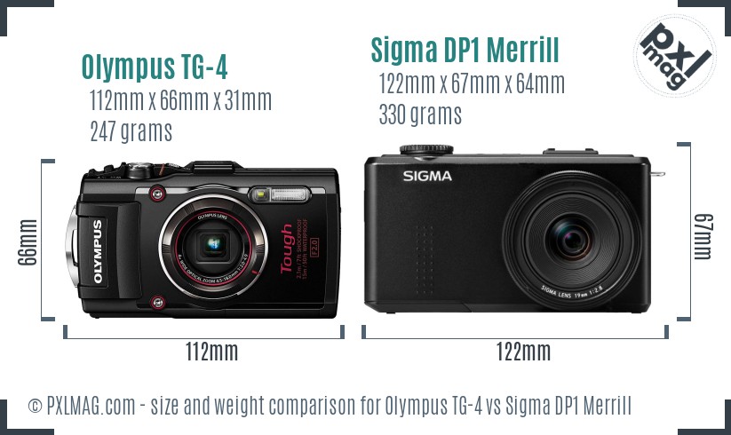 Olympus TG-4 vs Sigma DP1 Merrill size comparison