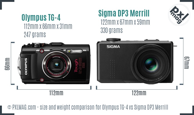 Olympus TG-4 vs Sigma DP3 Merrill size comparison