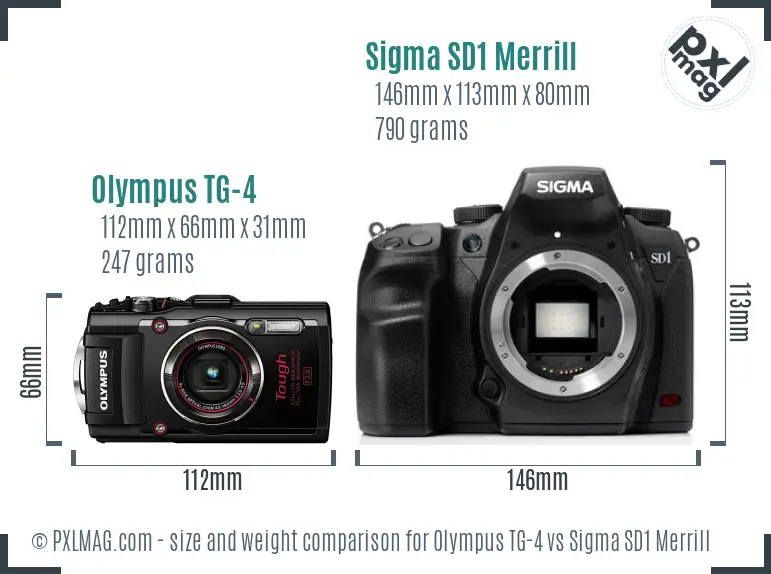 Olympus TG-4 vs Sigma SD1 Merrill size comparison Olympus TG-4 vs Sigma SD1 Merrill size comparison
