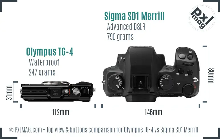Olympus TG-4 vs Sigma SD1 Merrill top view buttons comparison Olympus TG-4 vs Sigma SD1 Merrill top view buttons comparison