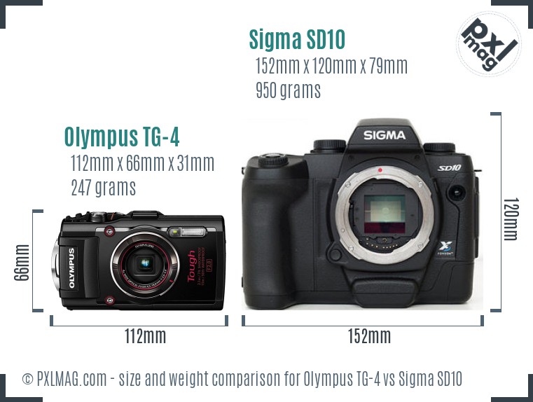 Olympus TG-4 vs Sigma SD10 size comparison