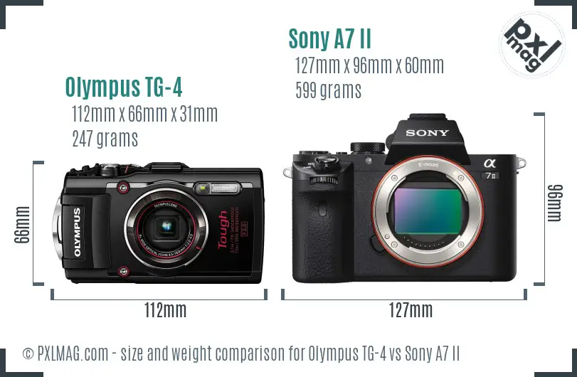 Olympus TG-4 vs Sony A7 II size comparison Olympus TG-4 vs Sony A7 II size comparison