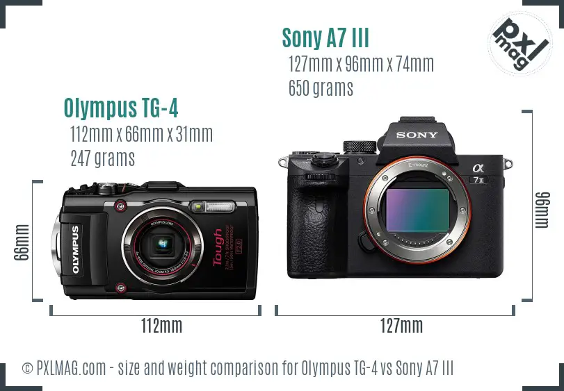 Olympus TG-4 vs Sony A7 III size comparison