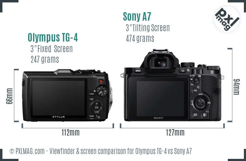 Olympus TG-4 vs Sony A7 Screen and Viewfinder comparison