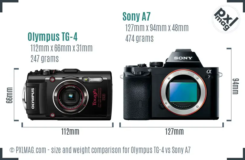 Olympus TG-4 vs Sony A7 size comparison