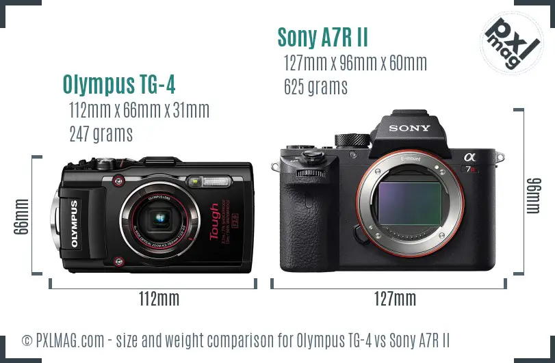 Physical size and ergonomics comparison