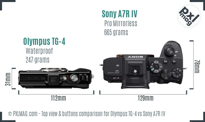 Olympus TG-4 vs Sony A7R IV top view buttons comparison