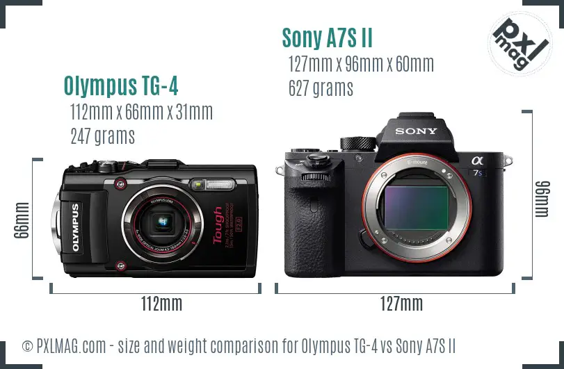 Olympus TG-4 vs Sony A7S II size comparison