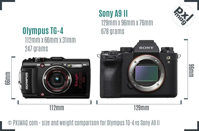 Olympus TG-4 vs Sony A9 II size comparison