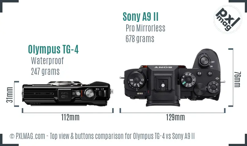 Olympus TG-4 vs Sony A9 II top view buttons comparison
