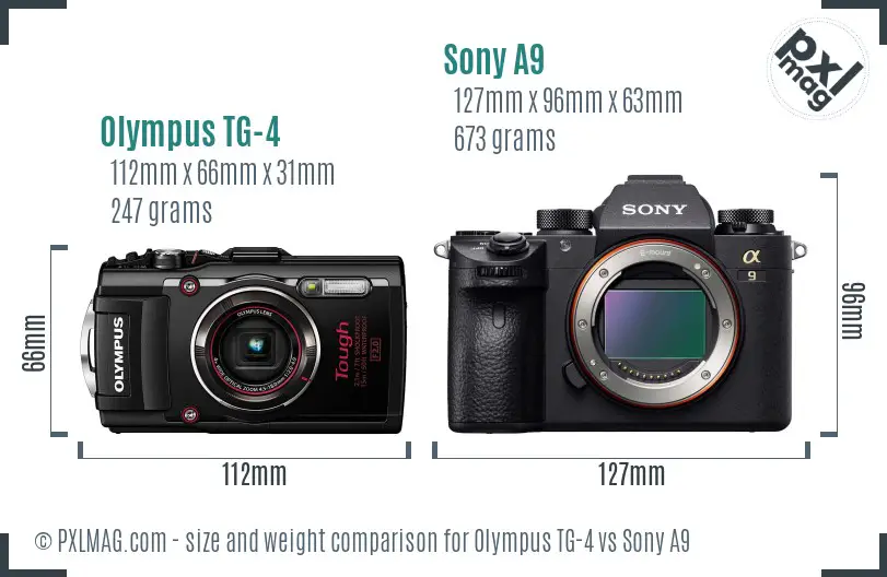Olympus TG-4 vs Sony A9 size comparison
