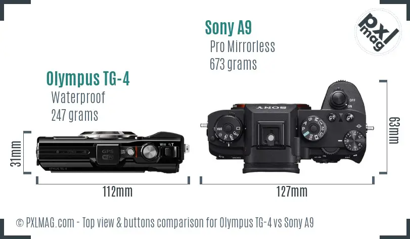 Olympus TG-4 vs Sony A9 top view buttons comparison