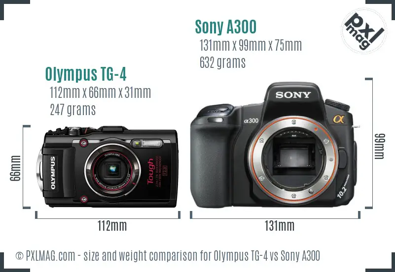 Olympus TG-4 vs Sony A300 size comparison
