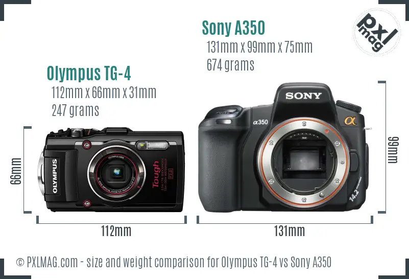 Olympus TG-4 vs Sony A350 size comparison