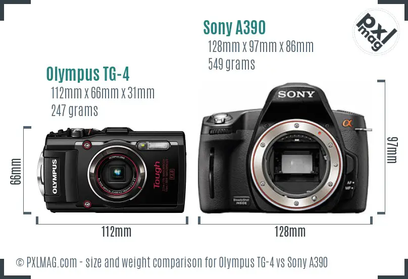 Olympus TG-4 vs Sony A390 size comparison