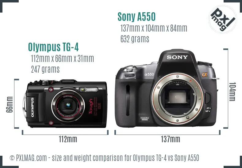 Olympus TG-4 vs Sony A550 size comparison