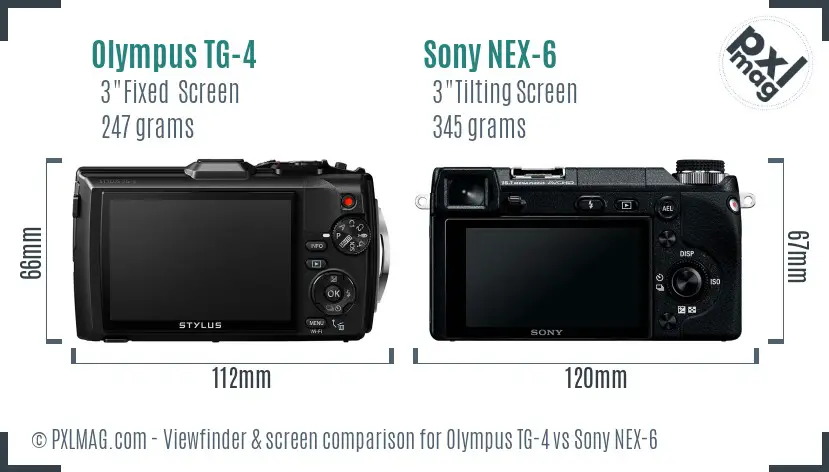 Olympus TG-4 vs Sony NEX-6 Screen and Viewfinder comparison